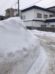 winter-sapporo-dress3