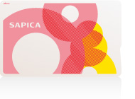 SAPICA
